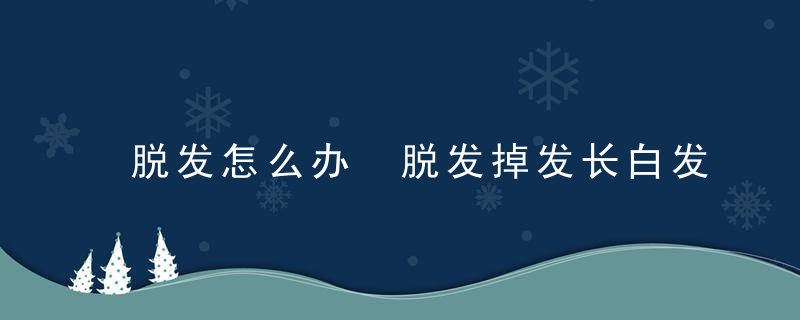 脱发怎么办 脱发掉发长白发用这物就够了